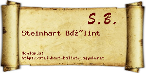 Steinhart Bálint névjegykártya